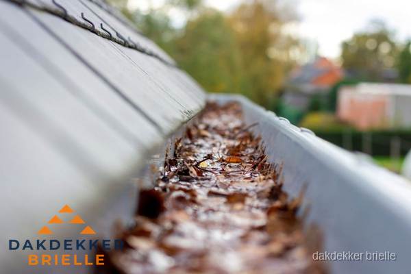 Verstopte dakgoot met bladeren schoonmaken in Brielle