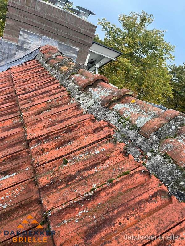 Verweerd hellend dak met mosgroei op nokvorst in Brielle Verweerd hellend dak met mosgroei op nokvorst in Brielle