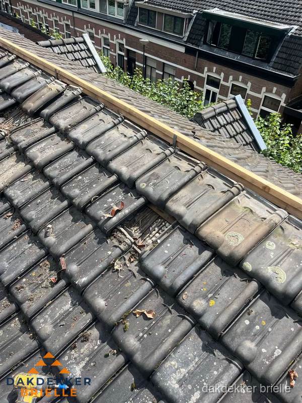 Dakonderhoud aan schuin pannendak met nokvernieuwing in Brielle
