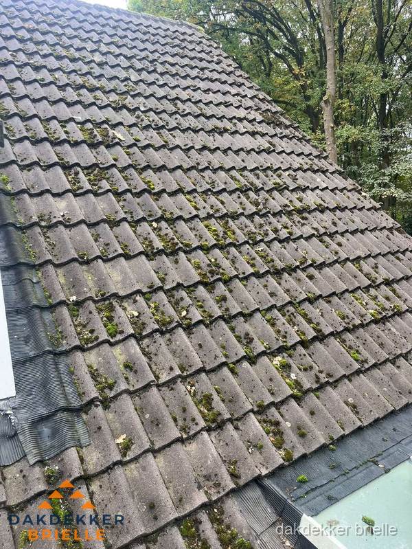 Verweerd pannendak met mosgroei dat renovatie nodig heeft in Brielle