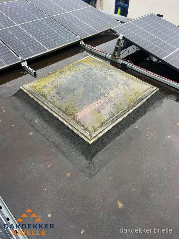 Vervuilde lichtkoepel op plat dak met zonnepanelen in Brielle Vervuilde lichtkoepel op plat dak met zonnepanelen in Brielle
